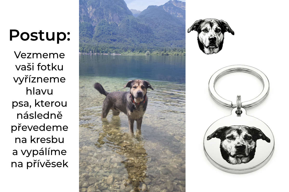 Jak děláme dárek pro milovníky psů